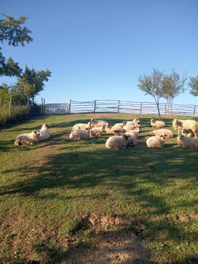 Chez Marthe, Organic Farm Stay Knin Luaran gambar